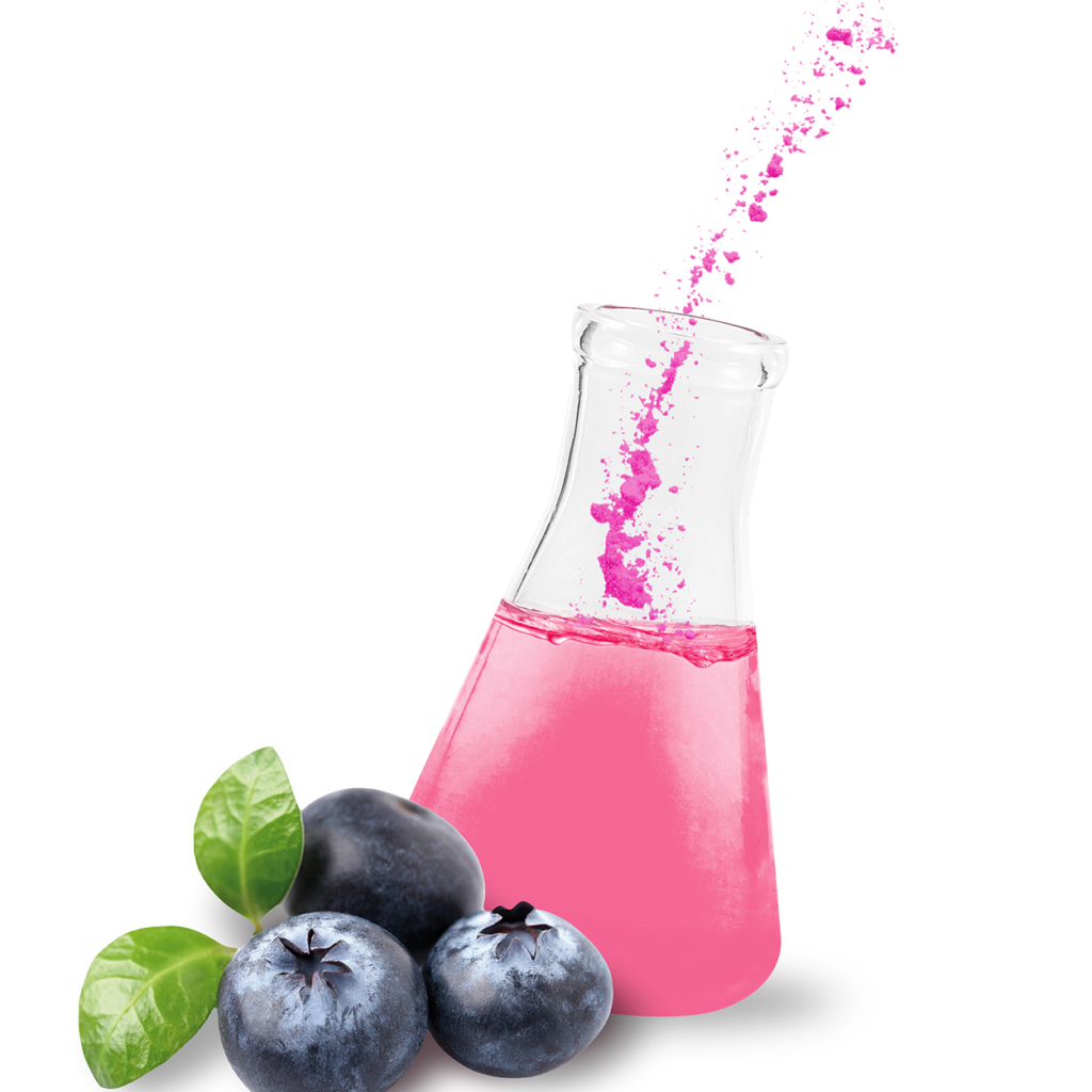 blueberry powder