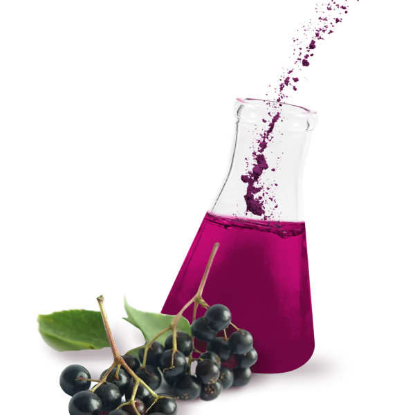 oxygenated elderberry extract