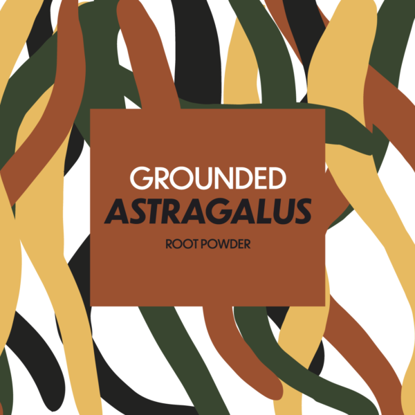 grounded astralagus root powder label