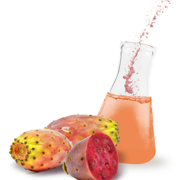 radiant prickly pear extract