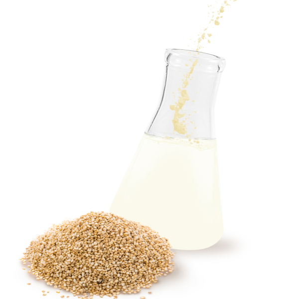 timeless quinoa extract
