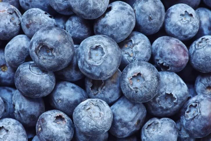 Superfoods as blueberries bring a lot of benefits for the immune system