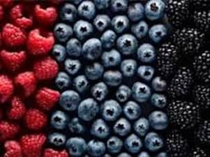 Which magenta berries will you choose for your smoothie recipe