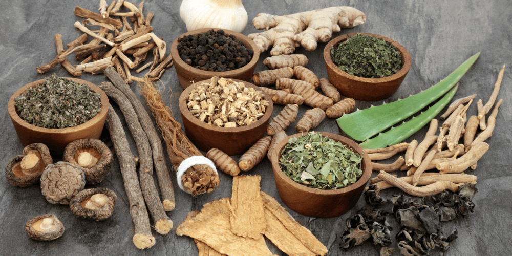 Origins of adaptogens herbs