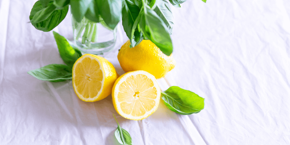 Photography of lemon fruits